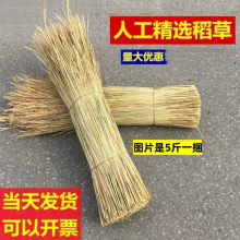 天然干稻草做霉豆腐的稻草屋顶装饰草帘遮阳稻草帘子牛羊草料稻草