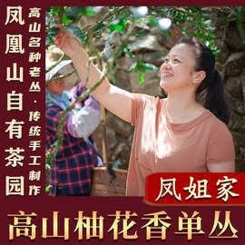 【凤姐家茶 柚花香】乌岽新春茶 高山单丛 潮州凤凰单枞茶乌龙茶