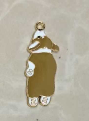 잠자는 코기 강아지 3406