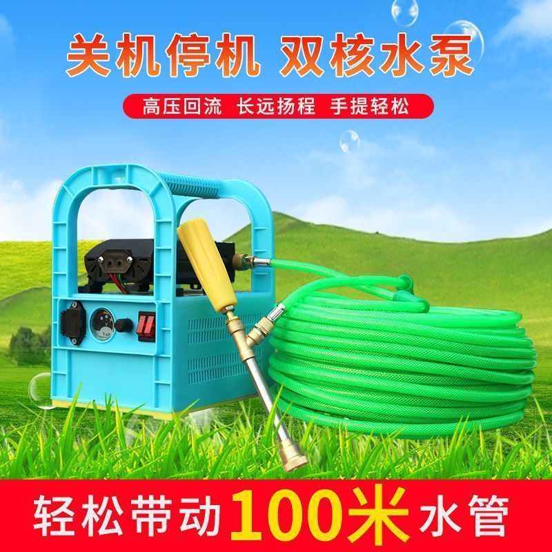 手提式电动喷雾器多功能农用充电果树打药洗车高压抽水隔膜双泵机