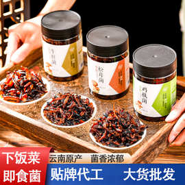 云南即食菌子酱 香薰松茸菌牛肝菌鸡枞菌三珍菌下饭菜菌子油批发