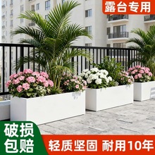 �L����ˮ�໨�豱�W�L�l���R�ۿ͏d�̨ͥԺ����N���V��Nֲ��HD