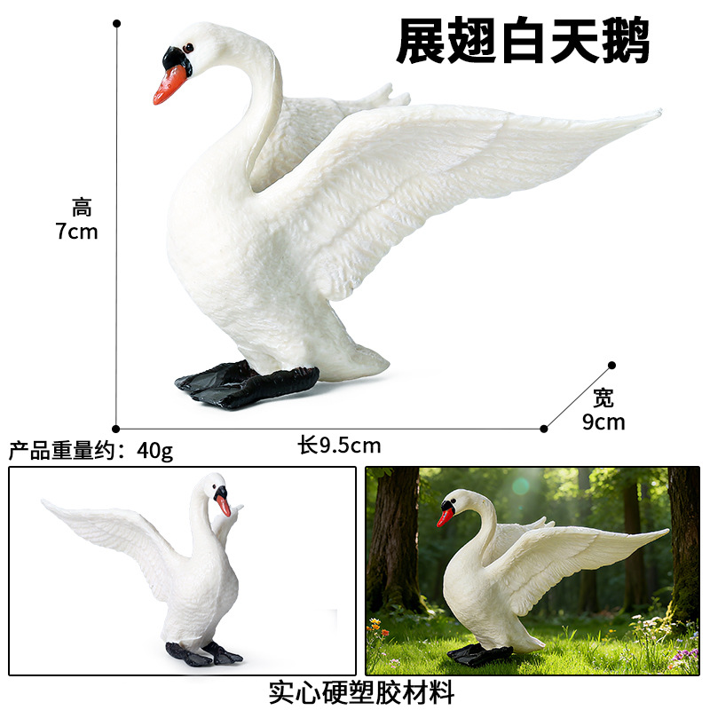 326 cisne blanco