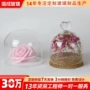 定制带盖球形透明玻璃罩