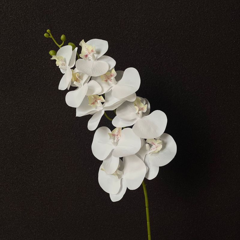 9头3D打印蝴蝶兰仿真花婚庆用花假花 舞台酒店婚礼堂装饰插花|undefined