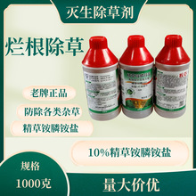 10%�����@��@�}���݄� ���ݠ����ݸ�� �Ǹ��ػĵس����rș1000g