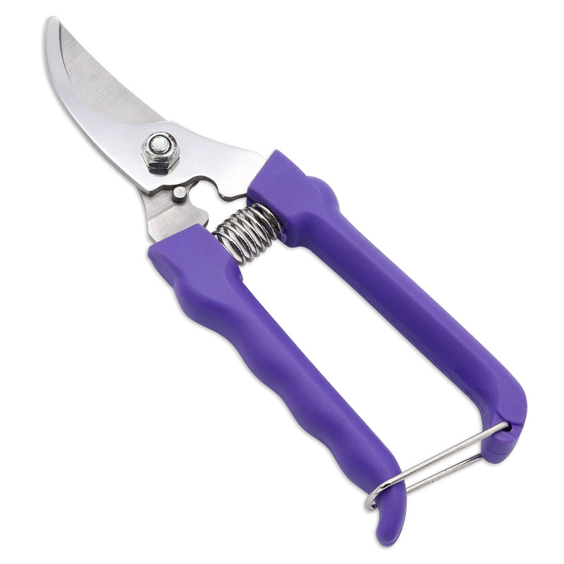 园艺剪刀园林树枝粗枝摘果剪 不锈钢果树剪刀家用修枝剪花艺工具