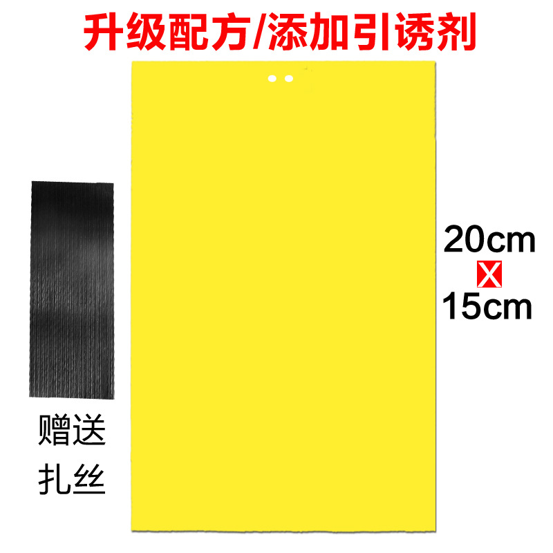 [가정/꽃/야채재배/추천] 양면 20매 20.15 노란색