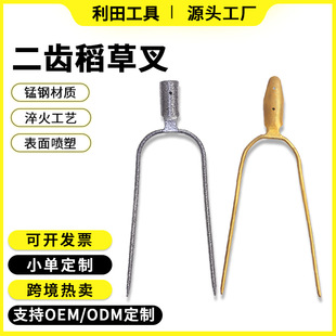 �i�呴���X�ݲ挍�ă��X��䓲�ɹɲ��F�浾�U����^���~����