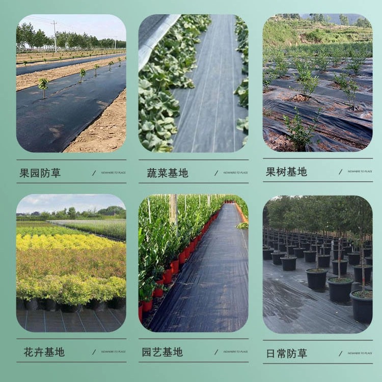 Grass-blocking cloth, weeding cloth, agricultural orchard ground cloth, film manufacturer direct sales, new ecological grass cover cloth, wholesale, ground cover cloth
