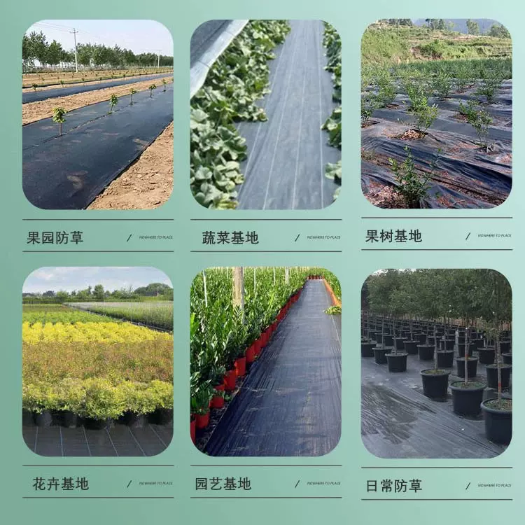 盖草布防草布除草布农用加厚地布地膜厂家直销新款生态遮草布批发