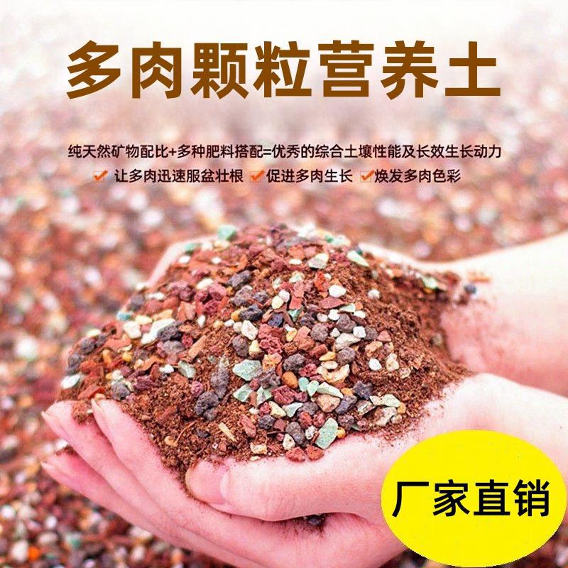 多肉专用营养颗粒土家用仙人球法师种植叶插铺面石厂家直销批发