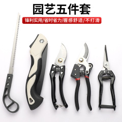 园艺五件套sk-5种花家用套装修枝剪鸡尾锯折叠锯花枝修剪工具套装
