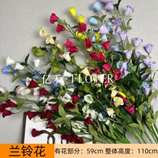 �����m⏻��L⏻� �Ҿ��bٻ���Y�ò廨�����{��ɫ����m���l