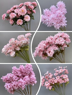 ��ɫ�����l��c������Y�����b��ļٻ��̈��廨�Ҿӻ�ˇ