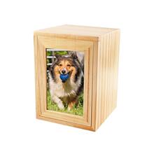 ľ�|�ǻҌ���o�������ľ����ľ�мs�з����w�ܷ�й���