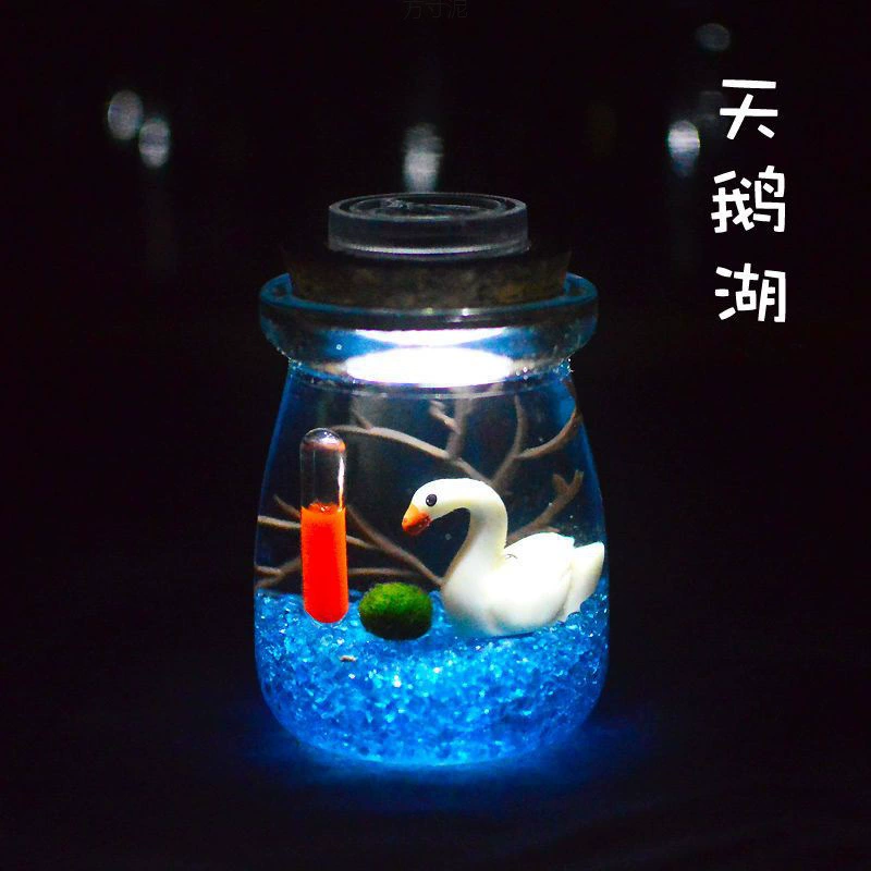 Морские водоросли мяч эко-бутылка микро-ландшафтный набор материал гидропонные растения Морские водоросли мяч студенческая версия ленивый завод один предмет оптом