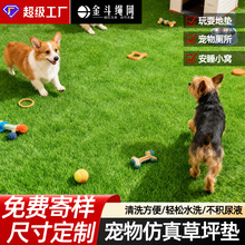 ��������ƺ��������|�˼ٲ�Ƥ��̺�|�̨���湷��؈���ƺ�|