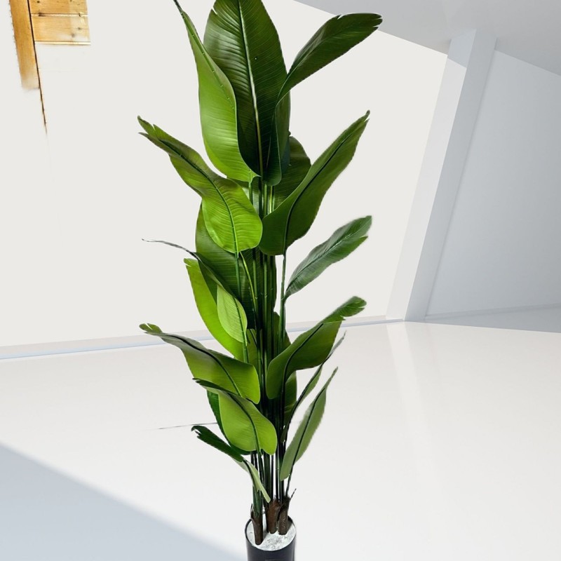 天国の鳥は緑を植えてハイエンドの軽豪華な装飾木を植えます。|undefined