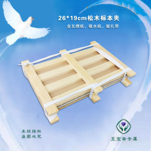 26x19cm plant label clip insect specimen collection production insect cage absorbent table paper can be invoiced new product