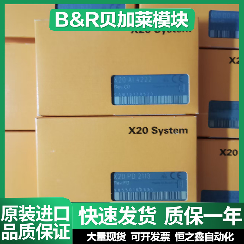 B&R Module X20Br9100 X20Br9300 X20Sd1207 New Original Inquiry