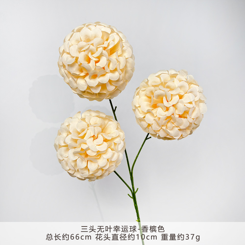 ZYJ-三头无叶幸运球-香槟