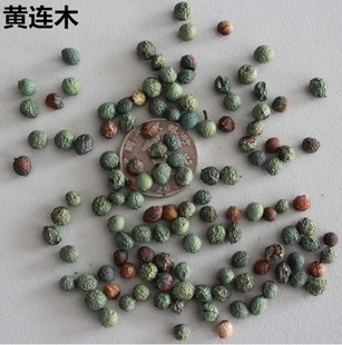 �S�Bľ�N�� ��ľ�N�� �@�־G�����ܷN�� �ϱ����ļ��Nֲ��