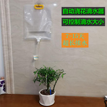 ��ˮ�������Ԅӿɿ���ˮ�������L�ڹ�ˮ�B�o����ֲ�ﻨ�䝲��ˮ��