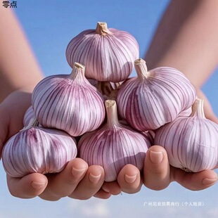 ����30�졿ɽ�|��Ƥ�����^�¸���N�ش�̖���r�������l�r���]���