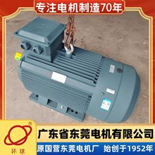 东莞电机东莞环球电机三相380V电动机YE3-355L2-6-250KW国标电机