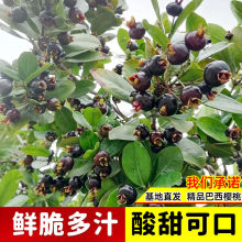 ��Դ�^���ء��������Ҙ������ڼ޽Ӵ����������Ե����ϱ����Nֲ