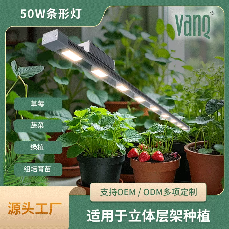 定制50WLED植物灯温室立体层架灯管培育苗灯大棚草莓番茄补光灯