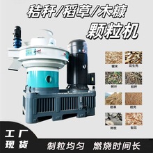 生物质燃料颗粒机 秸秆煤炭成型机 颗粒均匀 立式稻草木糠造粒机