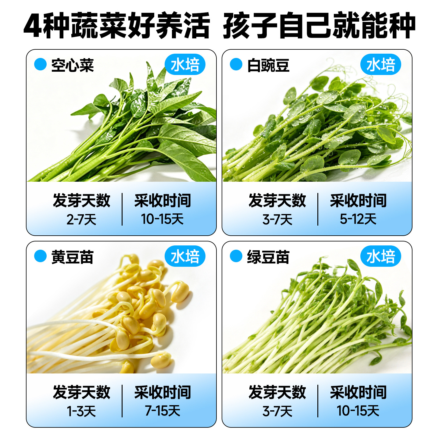水培芽菜儿童学生益智科教玩具蔬果植物绿豆芽四季豆儿童种植盆栽