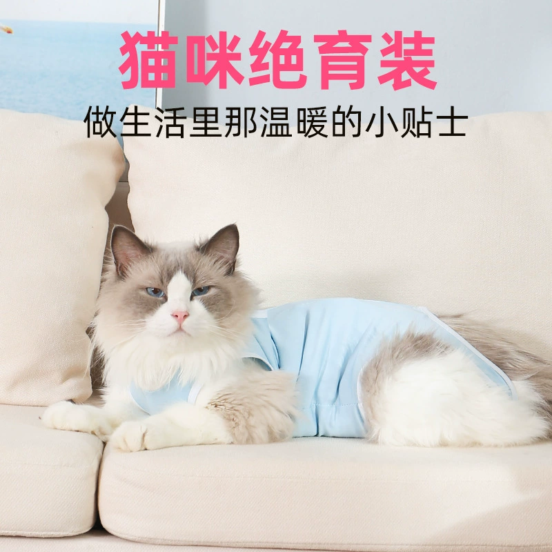 Трансграничная стерилизация кошек одежда кошка Послеродовая одежда Одежда для отлучения от груди кошка Хирургическая Одежда кошка физиологические штаны Стерилизация домашних животных одежда