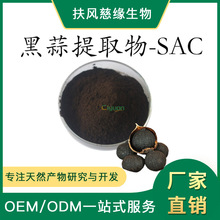 黑蒜SAC 0.1%~1% 黑蒜提取物 S-烯丙基半胱氨酸 SC厂家现货直销