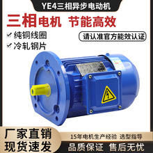 YE4������Ч���5.5/7.5/11/22/30/KW�����첽�綯����е����