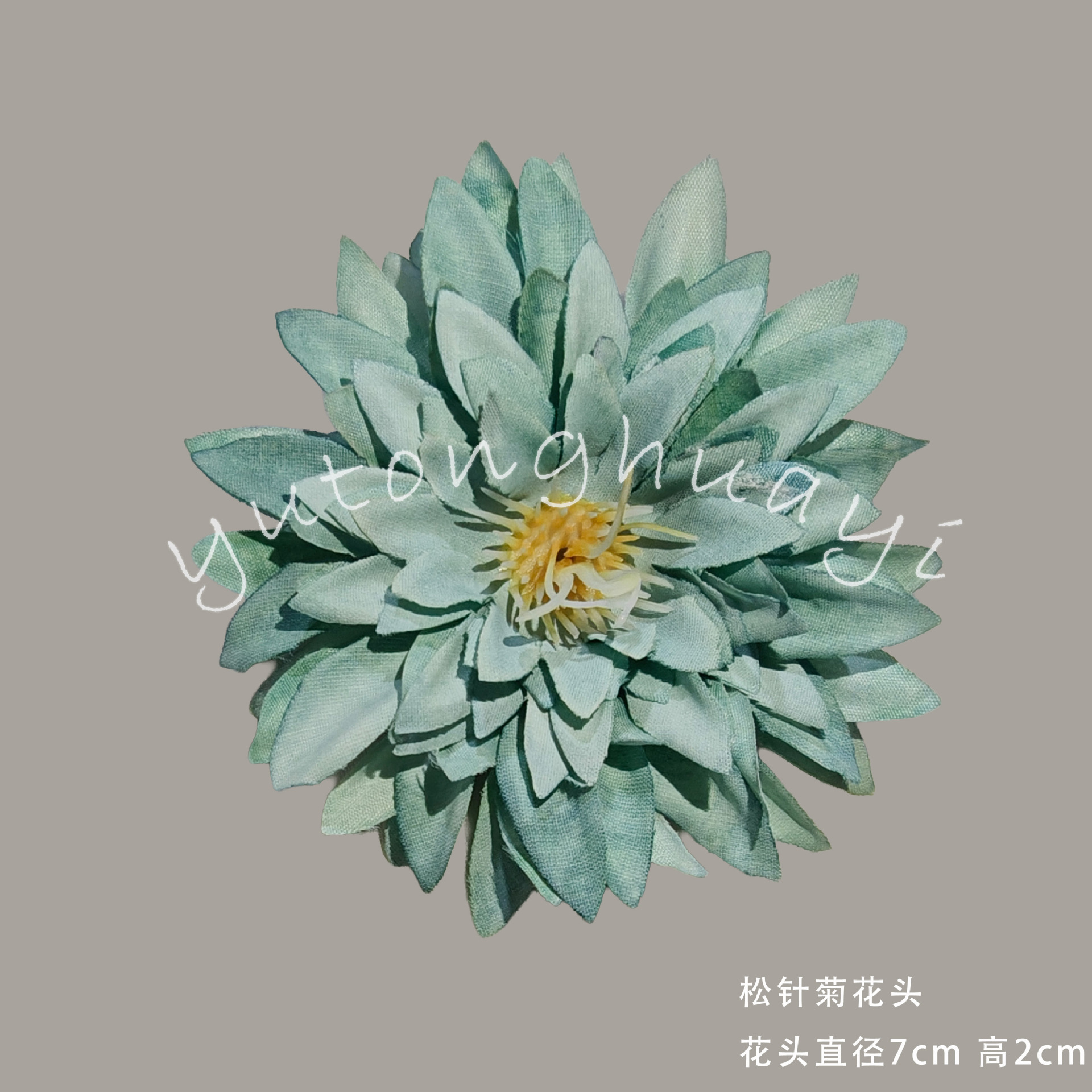 Pine needle chrysanthemum flowers-Type B