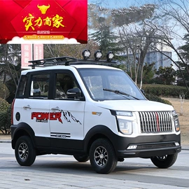 其他电动车;电动代步车;电动三轮车