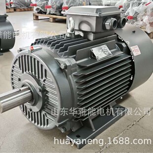 �A����YZP-315L2-6-160KW����׃�l늙C���D�����a�F�S�p�SH�O