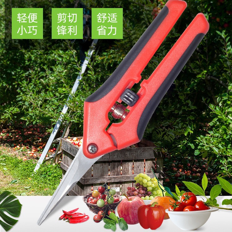 花枝剪不锈钢尖嘴葡萄剪园林园艺花卉摘水果修枝剪刀多用途摘果剪
