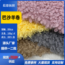 现货巴沙羊卷绒布圈圈绒服饰玩具鞋帽针织面料毛毯卷毛绒布料批发