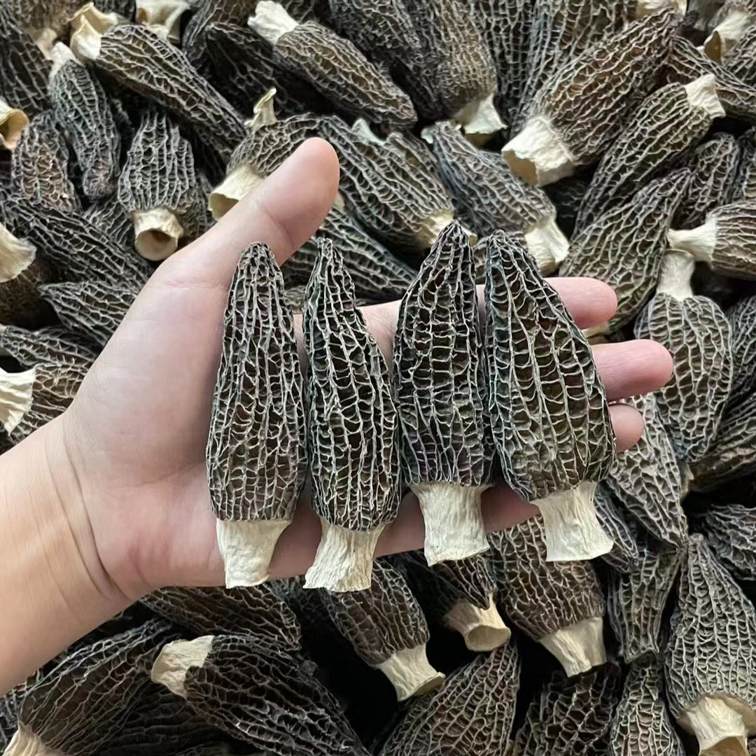 特级羊肚菌干货500g云南特产菌菇旗舰店正宗头茬新鲜野生蘑菇菌包