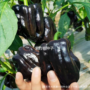 �Ϸ����˽��N������ϲ˽����׷Nֲ���r��ˈ@�߲˴����߲��͟�