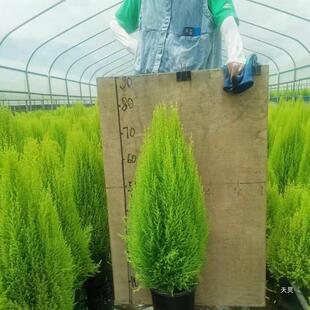 ��ڰ�С�����}�Q�������ļ����Gֲ���҃����̨���B�����ζ����