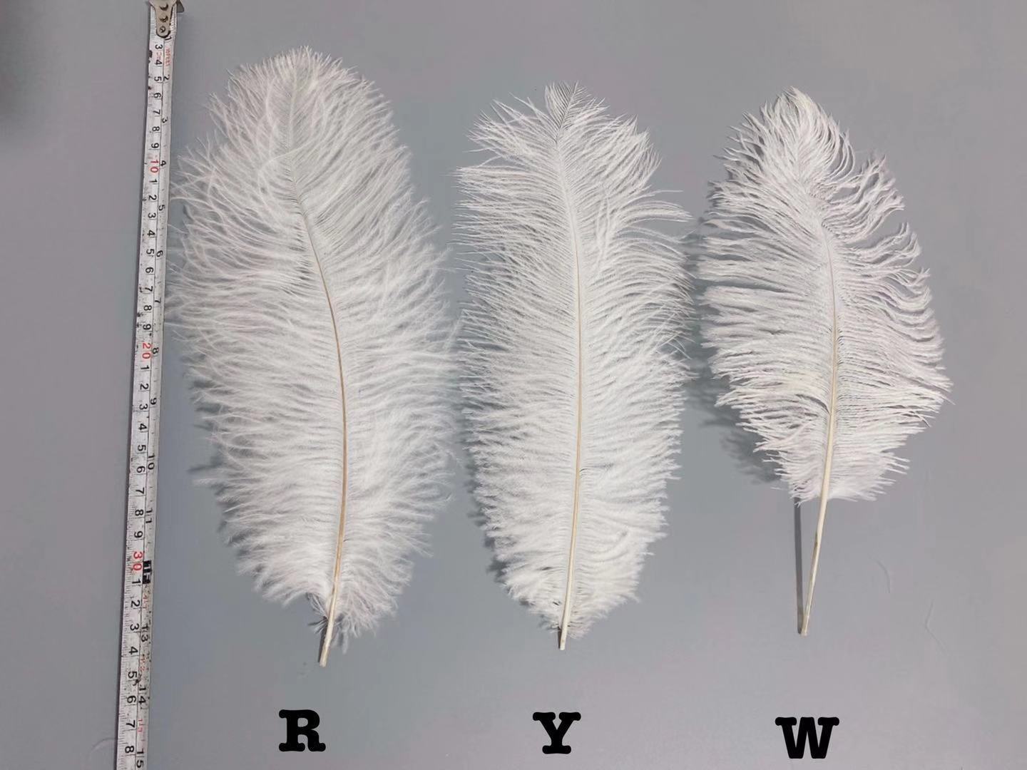 ec511d9808edb49c8dc253712dd4ad