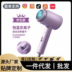 ポータブルヘアドライヤー 学生用 800w 安定動作 折りたたみ式ヘアドライヤー ホテル用ヘアドライヤー 工場寮用 安定動作