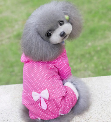Pequeño perro mediano Año Nuevo perro gato suministros para mascotas ropa Otoño e Invierno cuatro pies ropa de algodón acolchado ropa de transformación fábrica al por mayor