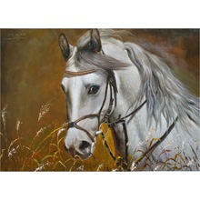 �����Lԭ�������ͮ��ղؼ����ﮋ�R���r�ͮ� ��Ӣ�ա����R��