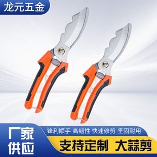 Garlic Scissors for Cutting Garlic, Sharp 65 Manganese Steel White-Headed Scissors for Cutting Onions, Garlic, Seedlings, Roots, and Large-Headed Garlic, Agricultural Use